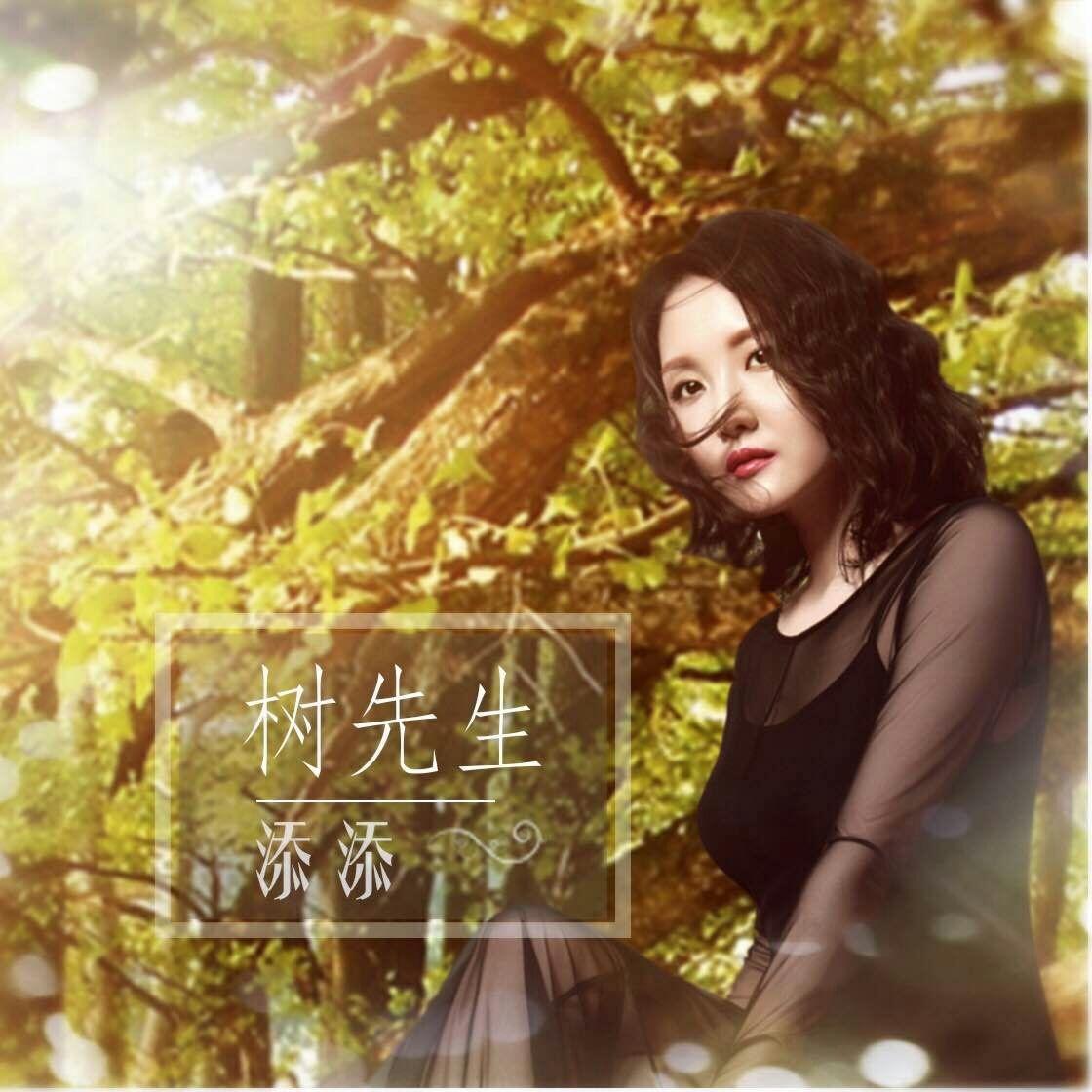 树先生封面
