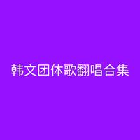 韩文团体歌翻唱合集