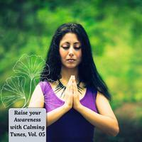 Raise Your Awareness With Calming Tunes, Vol. 05