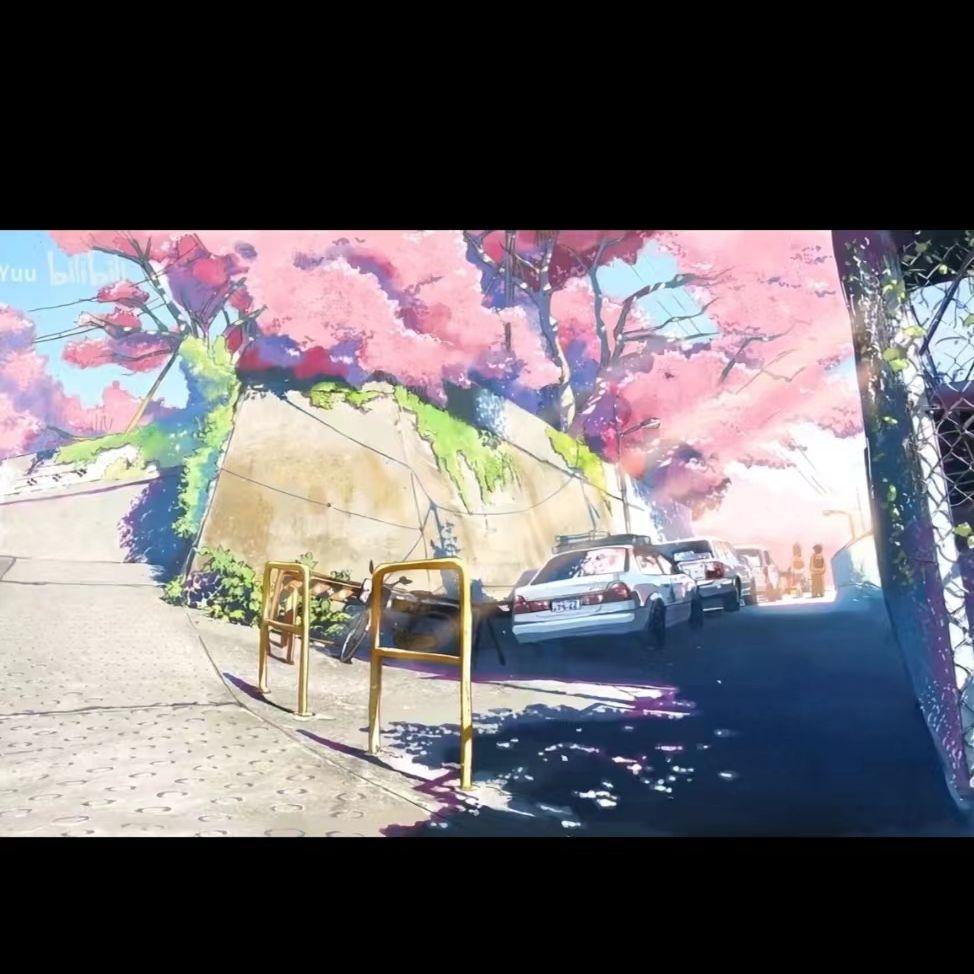 花瓣雨(表演赛demo)封面