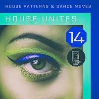 House Unites - Pattern 14