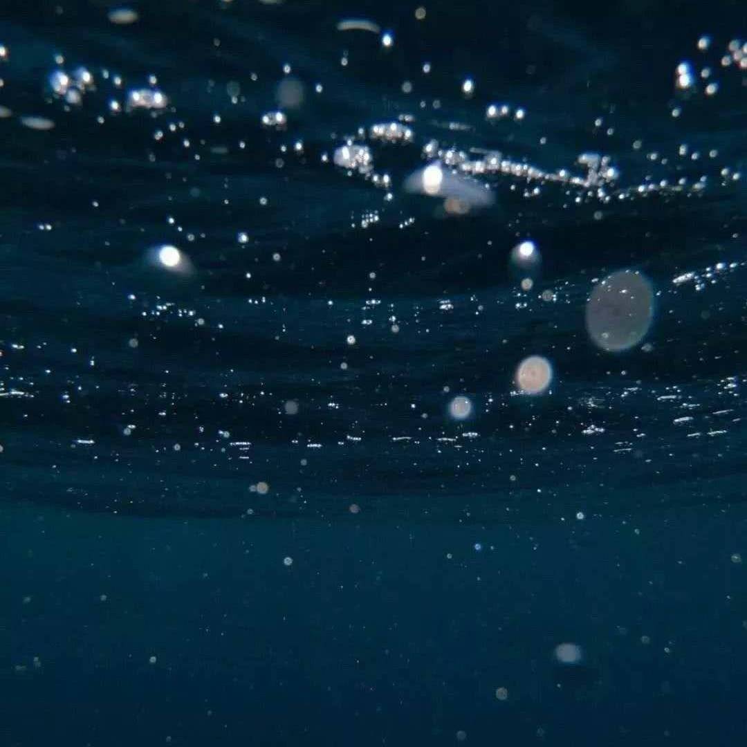 海里（翻自 李美灵芝）