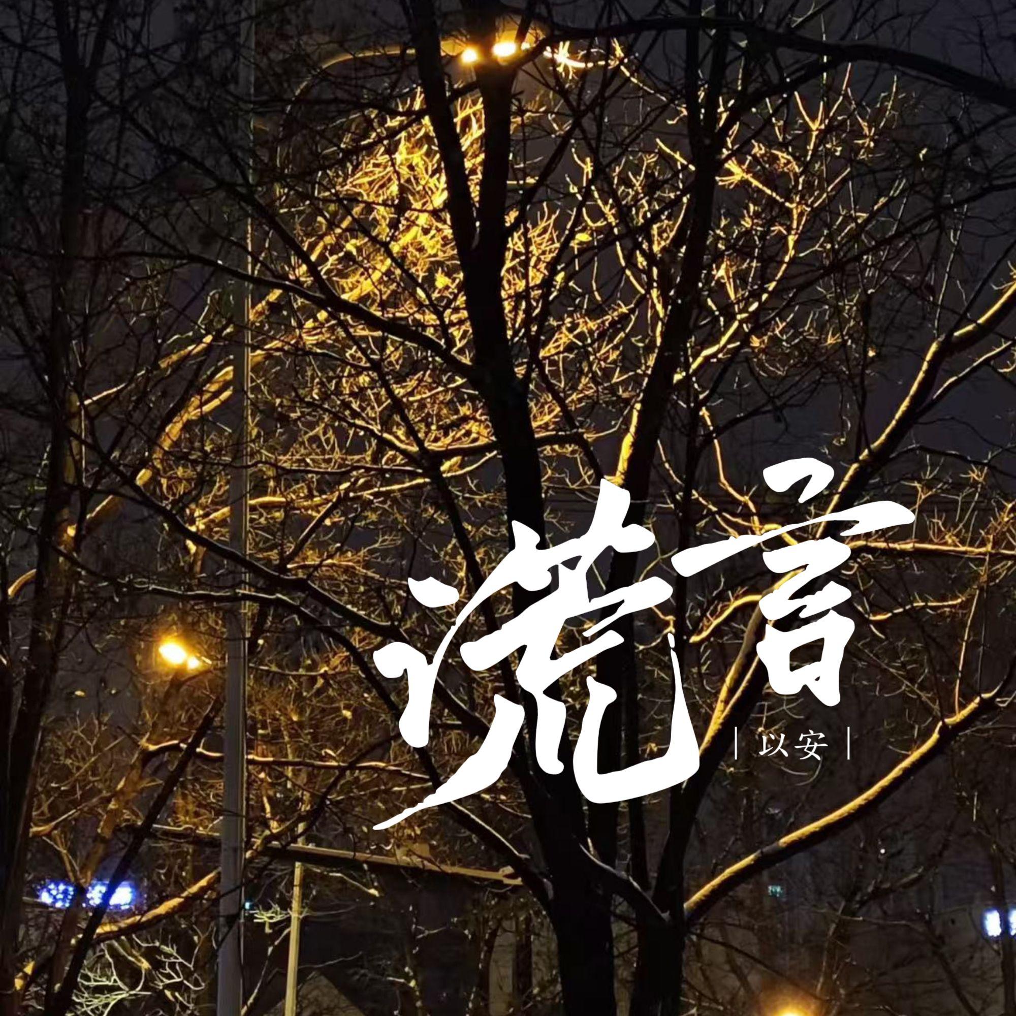 谎言封面