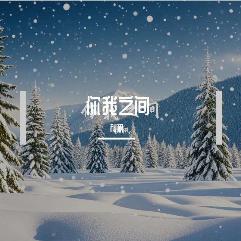 闪耀的梦想封面