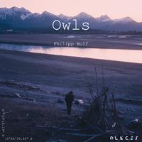 Owls (Edit)