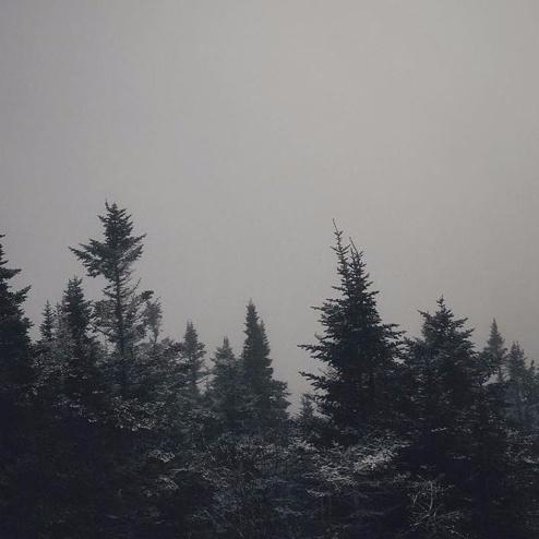 Isn't what I asked for