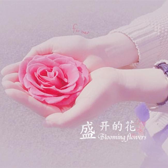 重来（Demo）封面