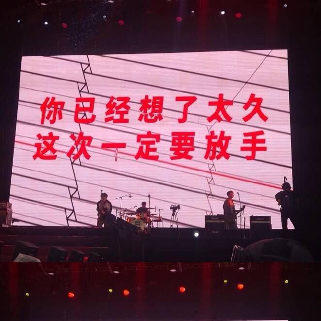 做我的猫（翻自 满舒克）