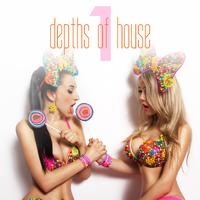 Depths of House, Vol. 1