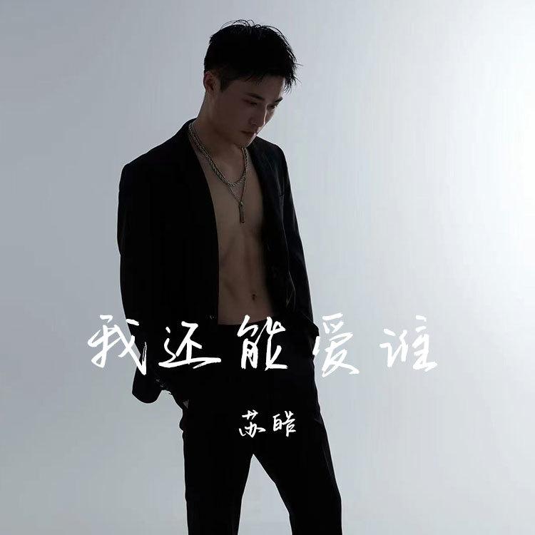 我还能爱谁 (苏皓DJ版)封面