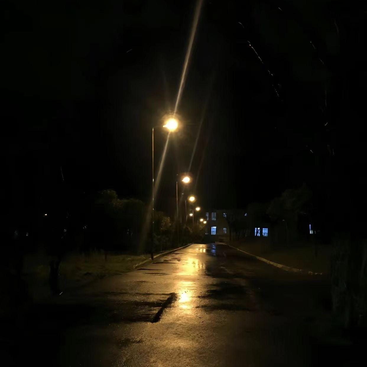 雪中火封面
