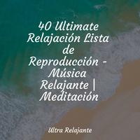 40 Ultimate Relajación Lista de Reproducción - Música Relajante | Meditación