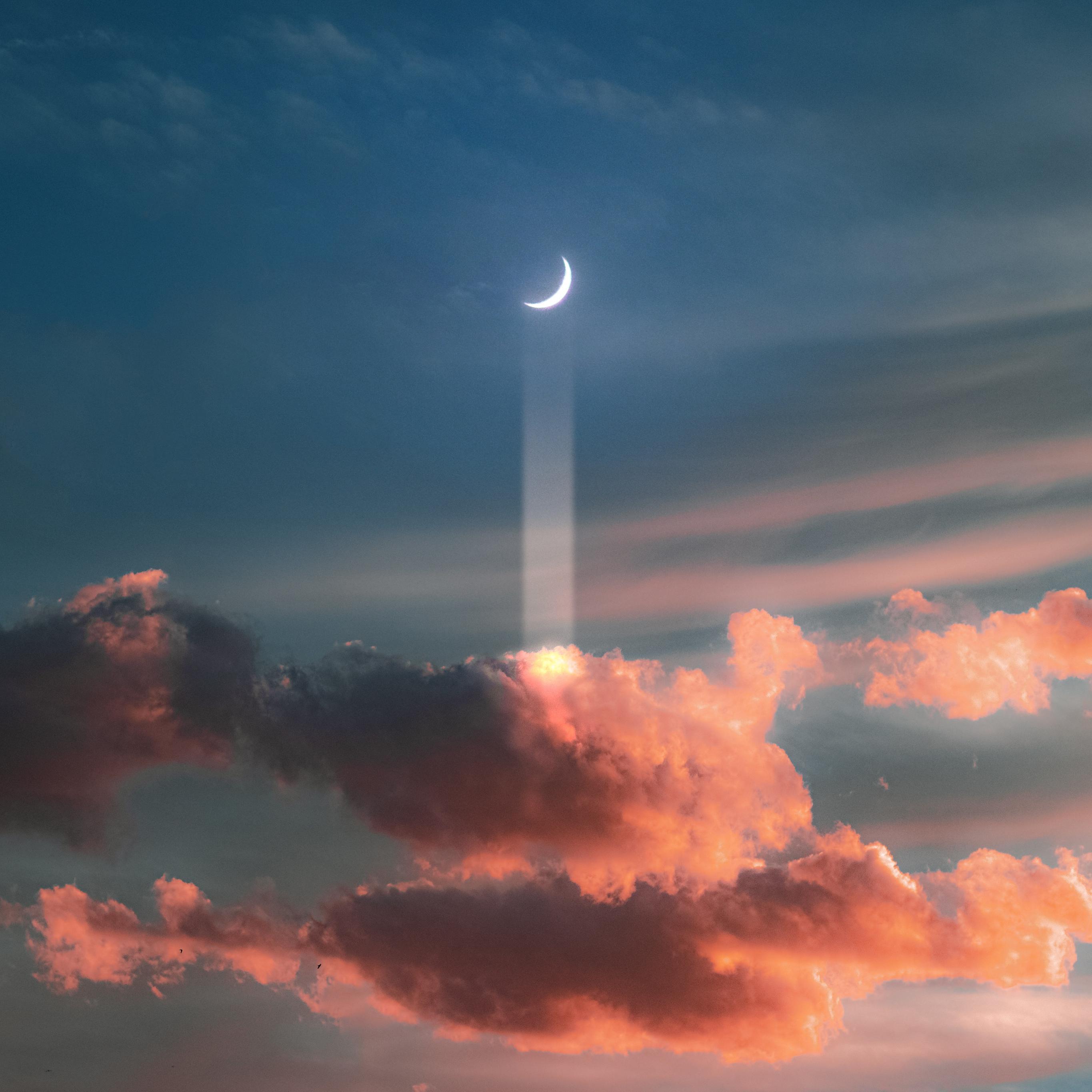 静夜思（Feat.$weety 薯条）