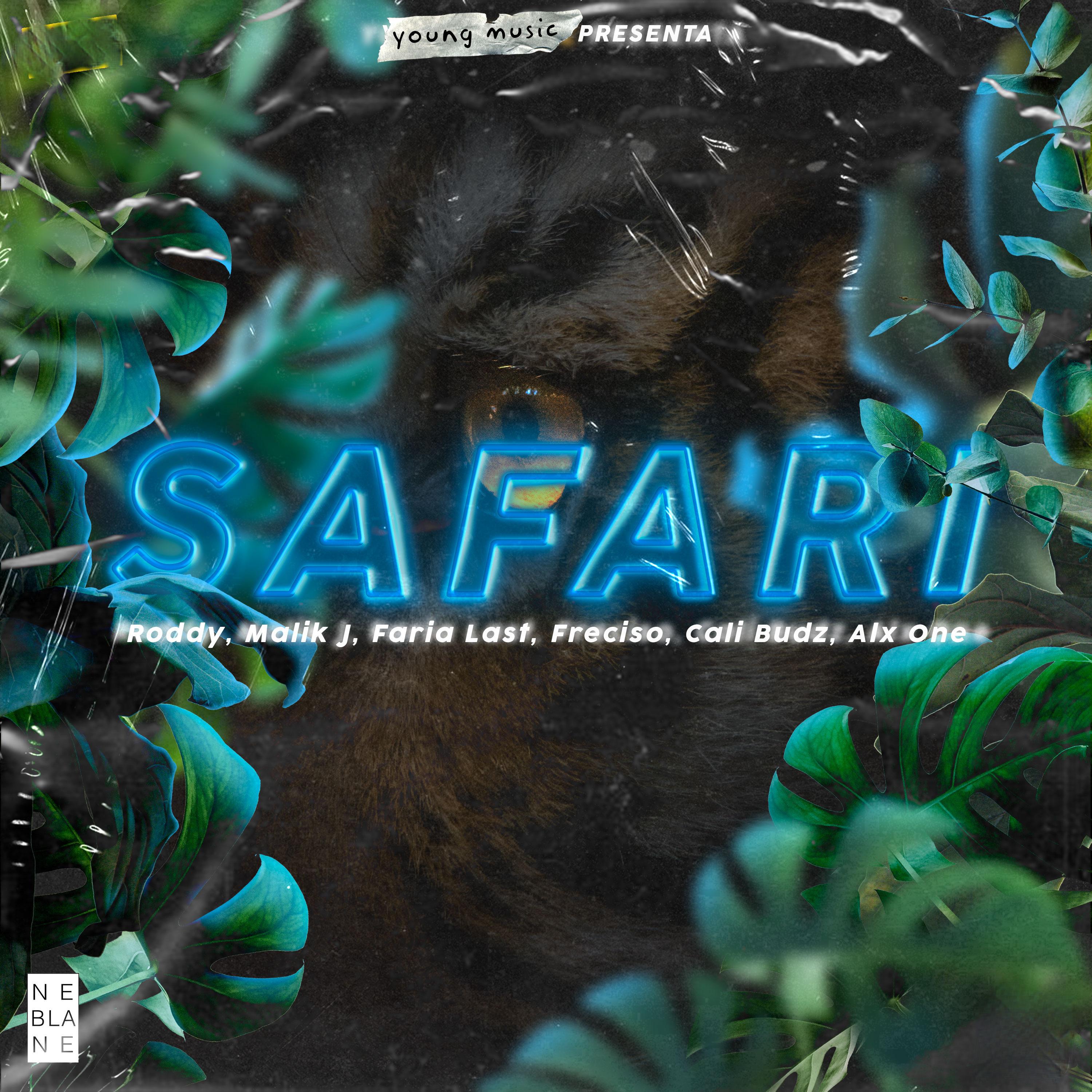 Safari