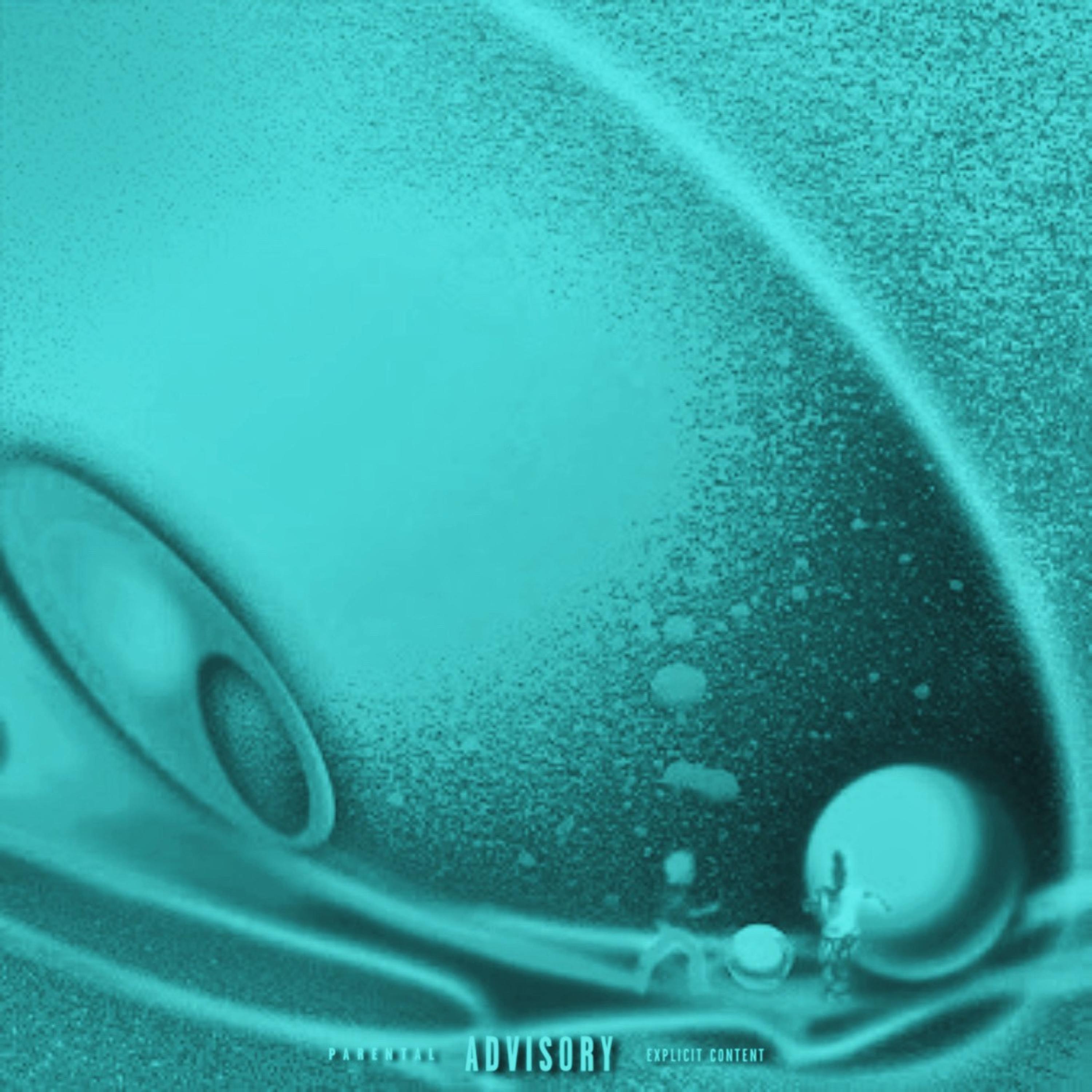 ROCKSTAR SH!T REMIX (feat. 1effren)