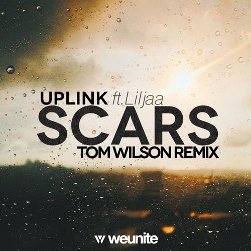 Scars (Tom Wilson Remix)