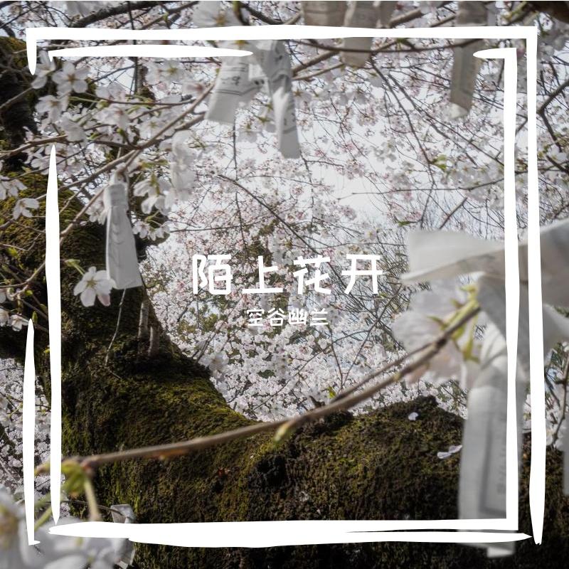 陌上花开 伴奏封面