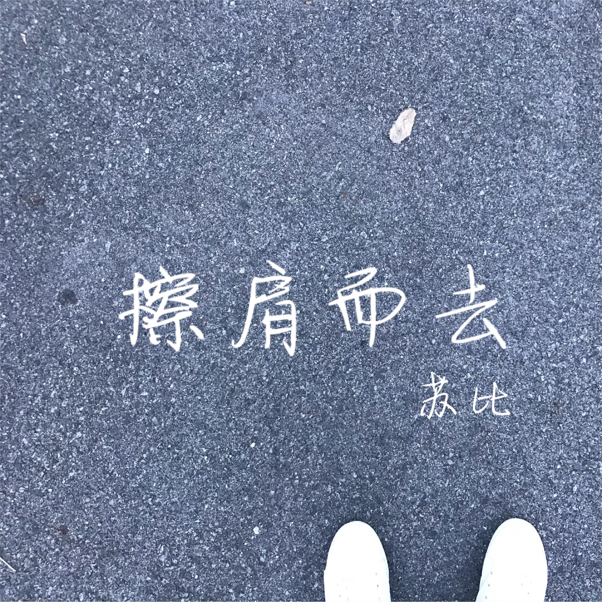 擦肩而去 - 李苏航封面