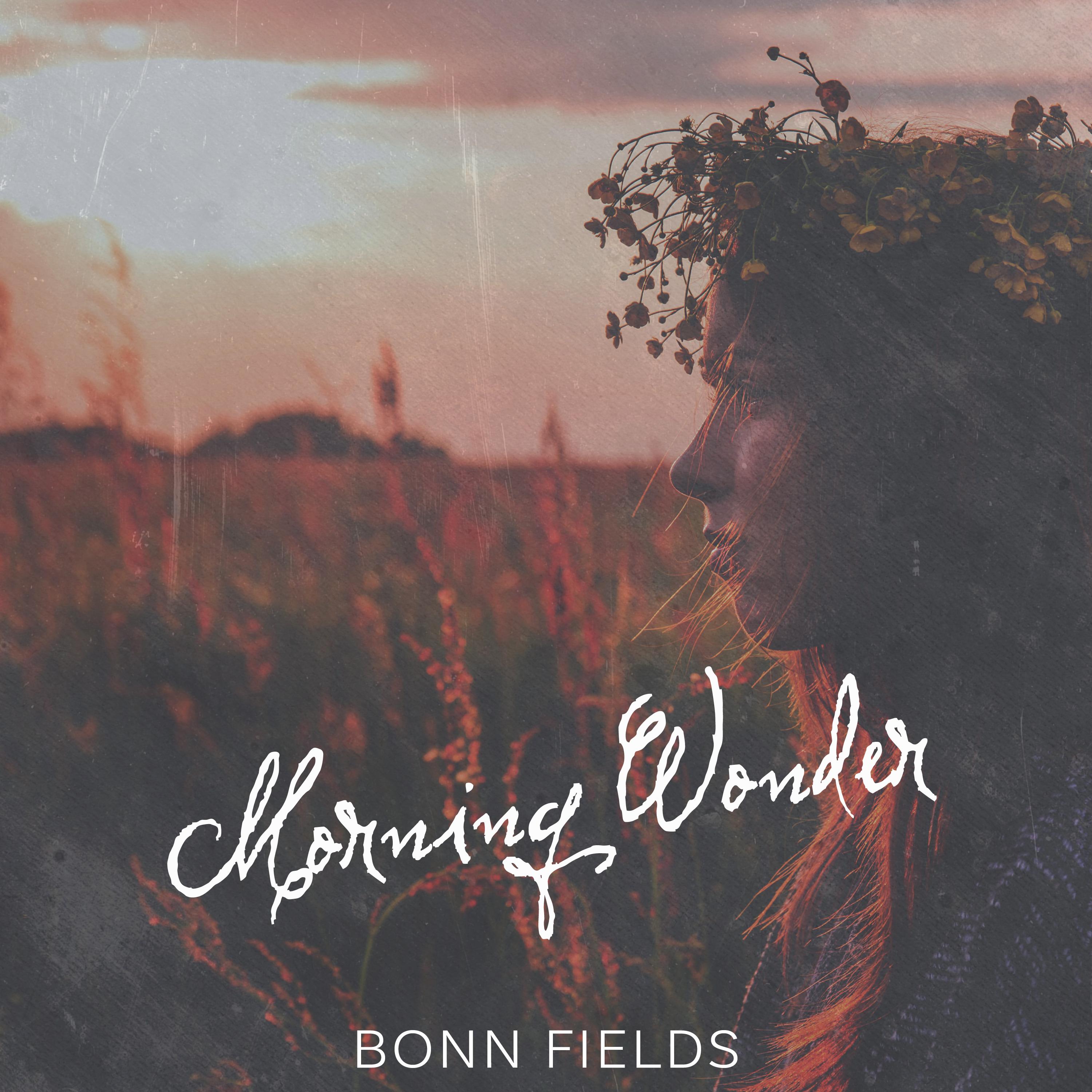 They Call It Nonsense_Bonn Fields_Morning Wonder | 在线播放_They Call It Nonsense歌词_They Call It Nonsense下载 | 网易云音乐