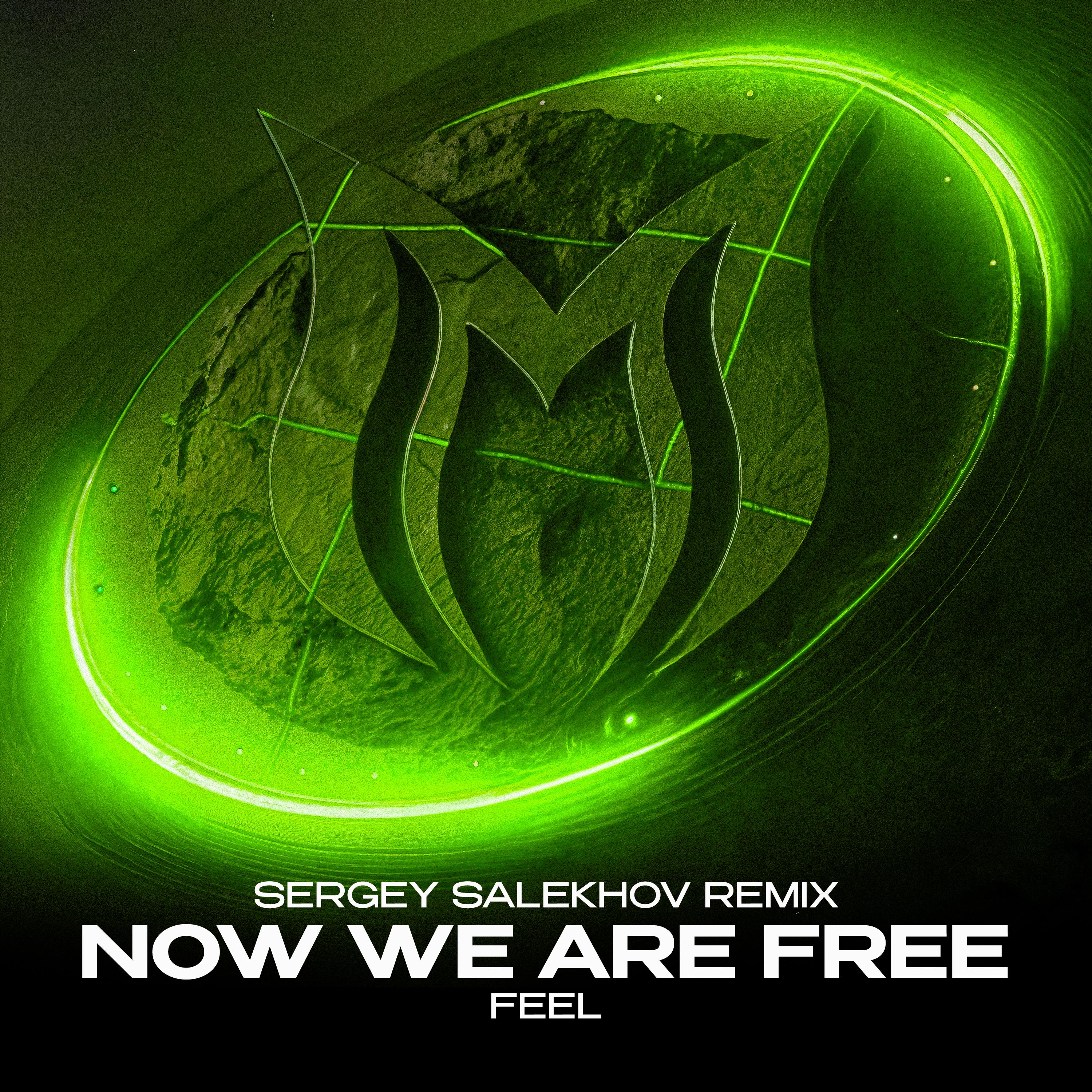 Now We Are Free (Sergey Salekhov Remix)_FEEL_Now We Are Free (Sergey Salekhov Remix) | 在线播放_Now We Are Free (Sergey Salekhov Remix)歌词_Now We Are Free (Sergey Salekhov Remix)下载 | 网易云音乐