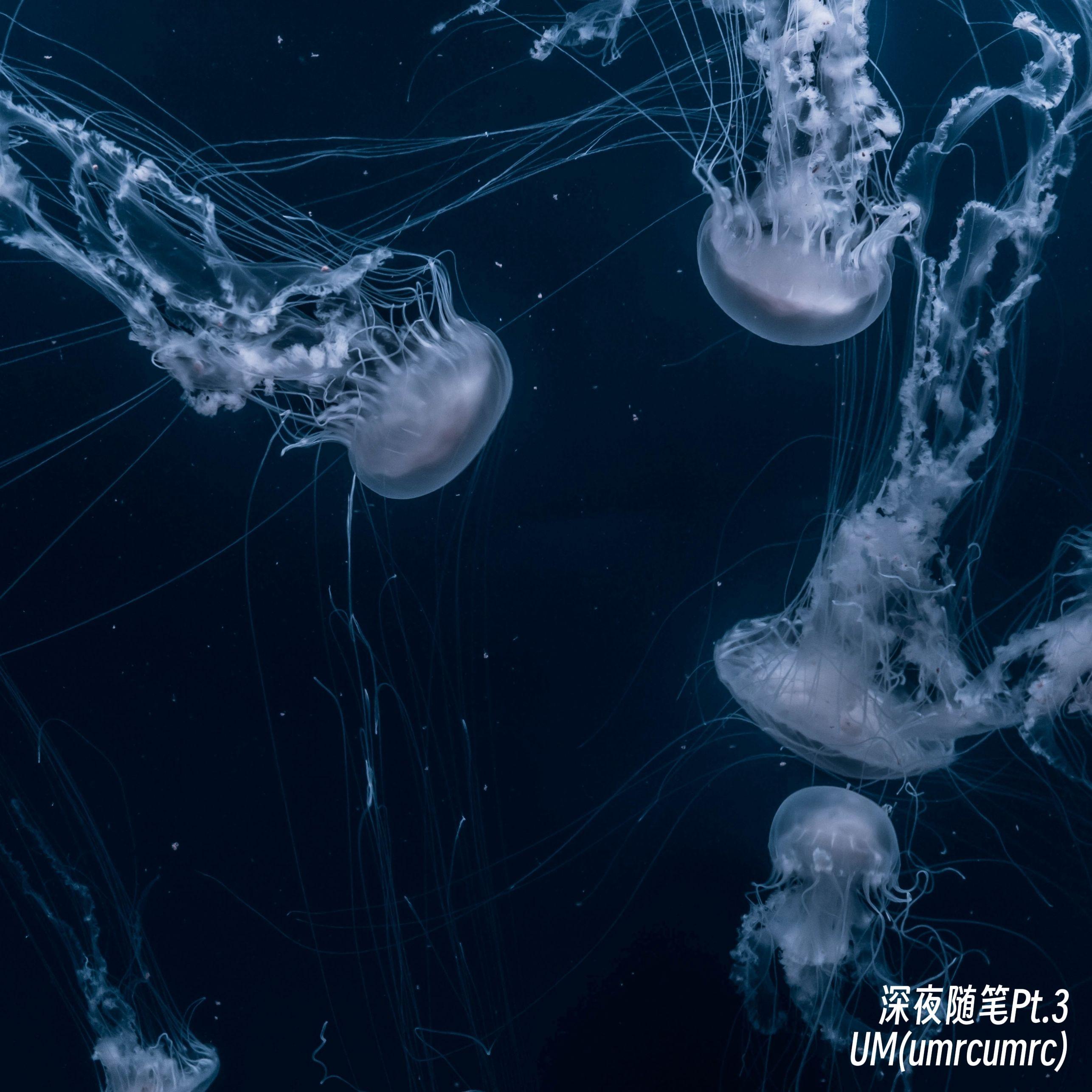 记忆是落在心脏的第一片雪花