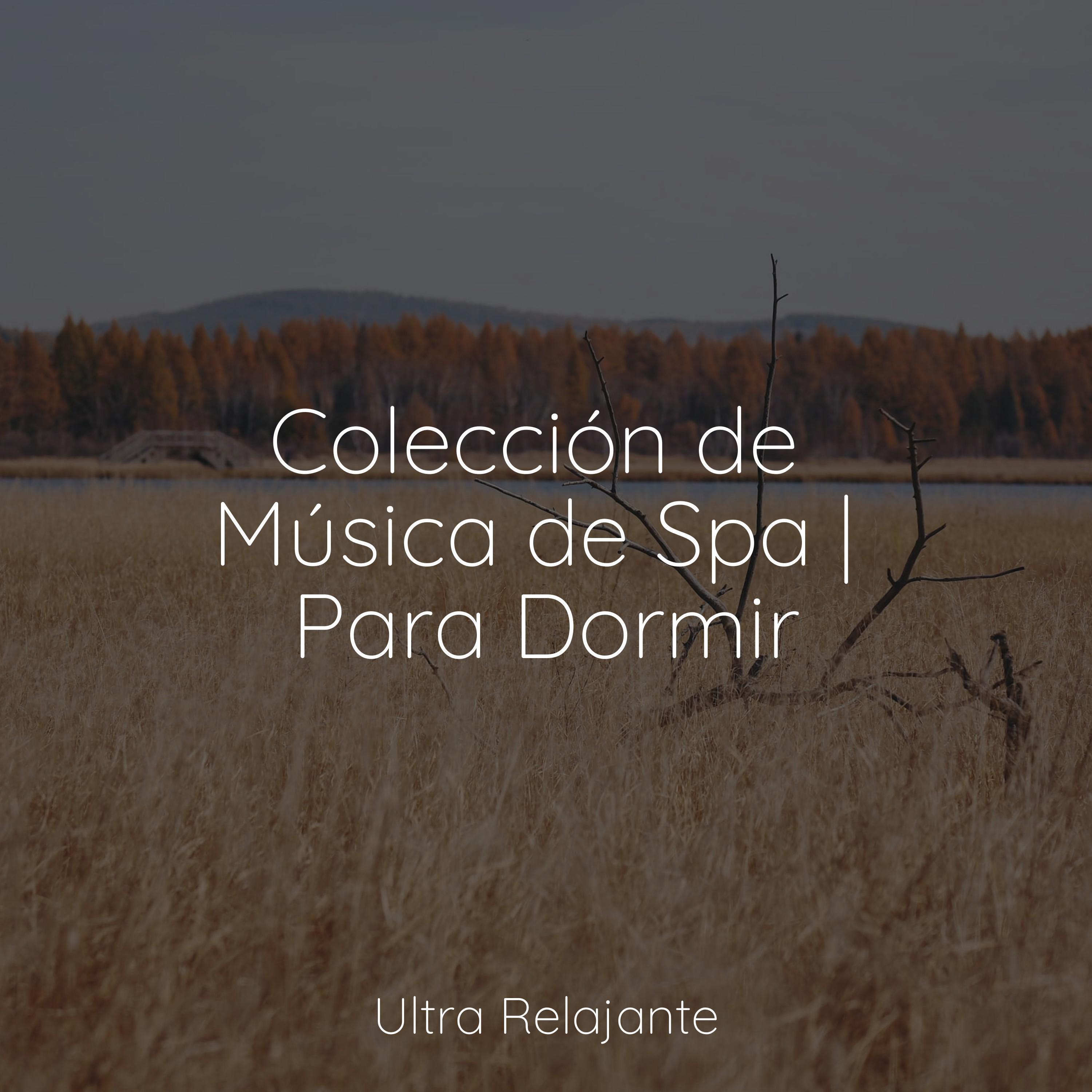 Relajacion del Mar & Musica para Dormir 101 & Musica Relajante & Sonidos  Naturales Relax - Música Relajante – Sonidos de la Naturaleza, Música de  Relajaciòn para Escuchar, Música Yoga, Música Reiki