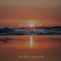 Sounds of Sleep | Total Vibes