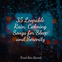 35 Loopable Rain, Calming Songs for Sleep and Serenity