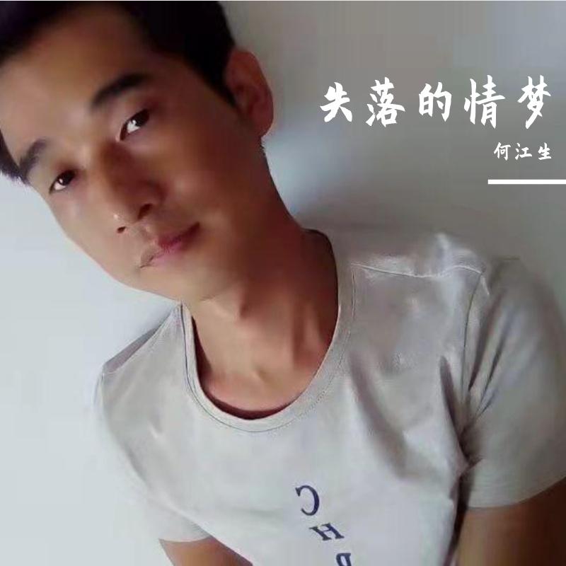 失落的情梦封面