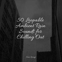 50 Loopable Ambient Rain Sounds for Chilling Out