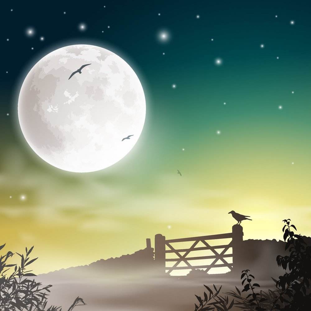 song-img
