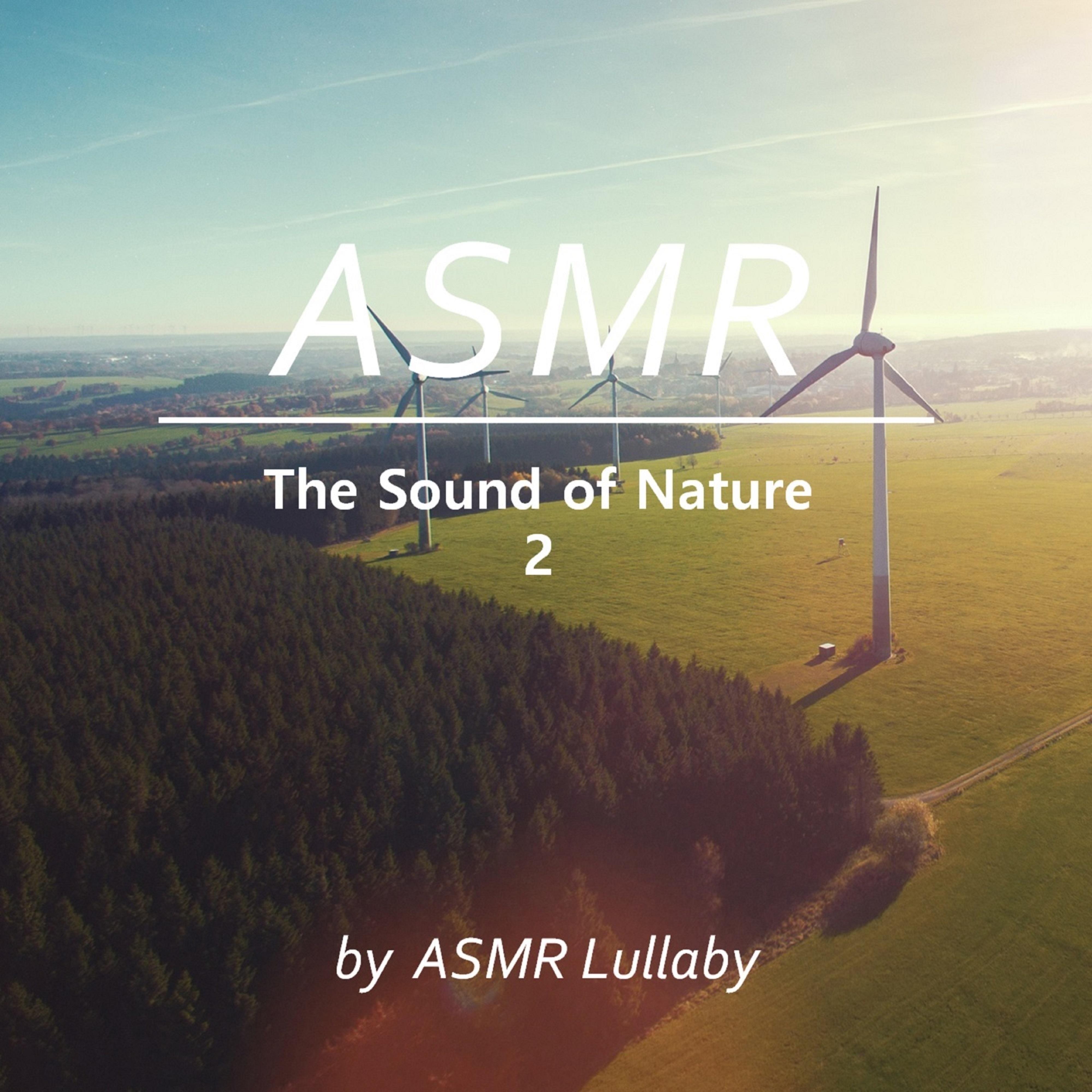 머리를 맑게 해주는 바람 소리 (수면, 숙면, 수면음악, 공부, ASMR)