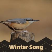 Winter Song