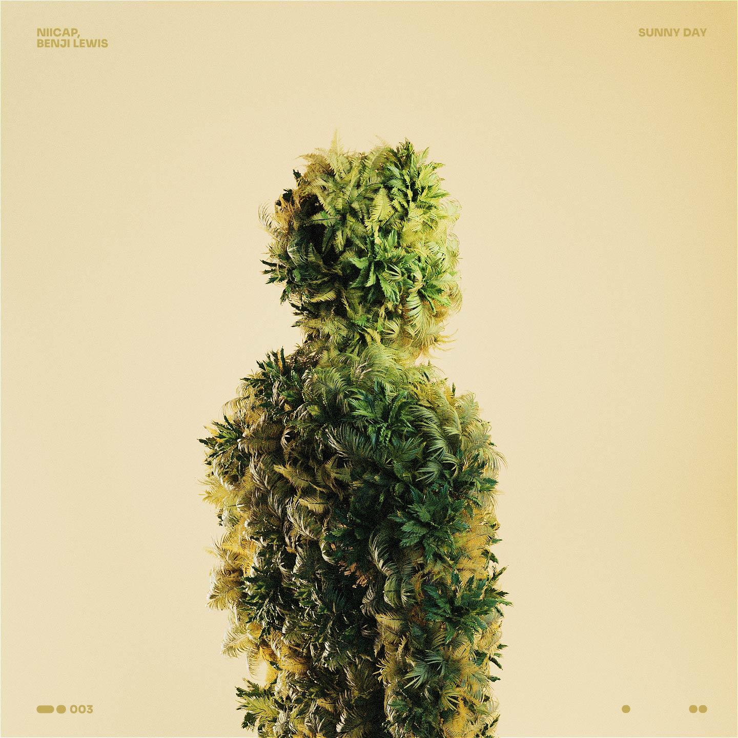 Sunny Day_Niicap_Sunny Day | 在线播放_Sunny Day歌词_Sunny Day下载 | 网易云音乐