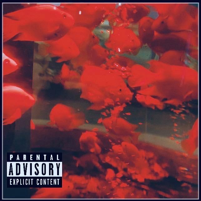 好像是苦情歌(Prod by XVIBE.)