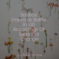 Solstice Embrace: Bathe In 100 Recordings Of Seasonal Change