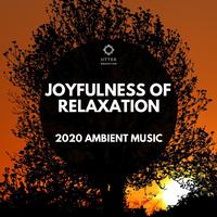 Joyfulness of Relaxation: 2020 Ambient Music