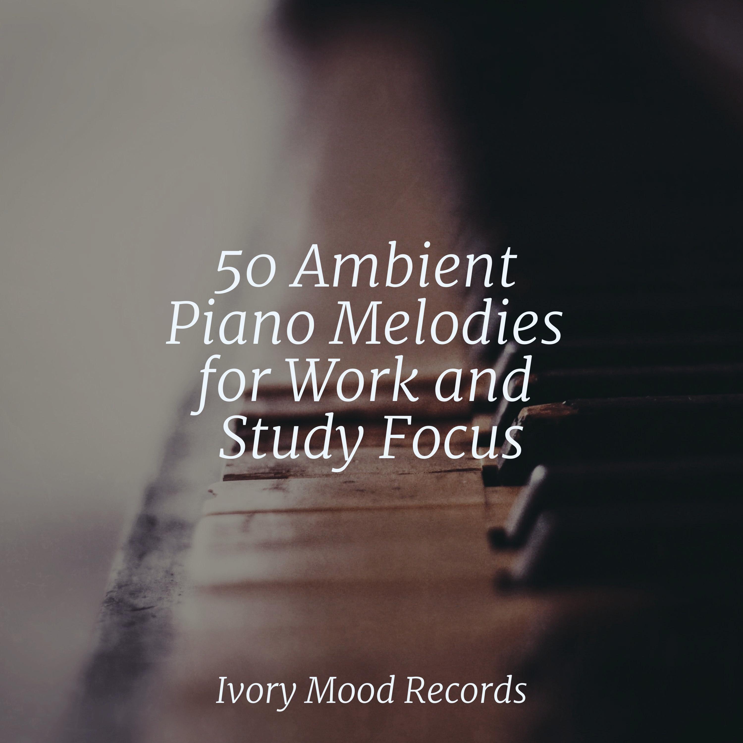 50 Ambient Piano Melodies for Work and Study Focus - Dormir - 专辑 - 网易云音乐