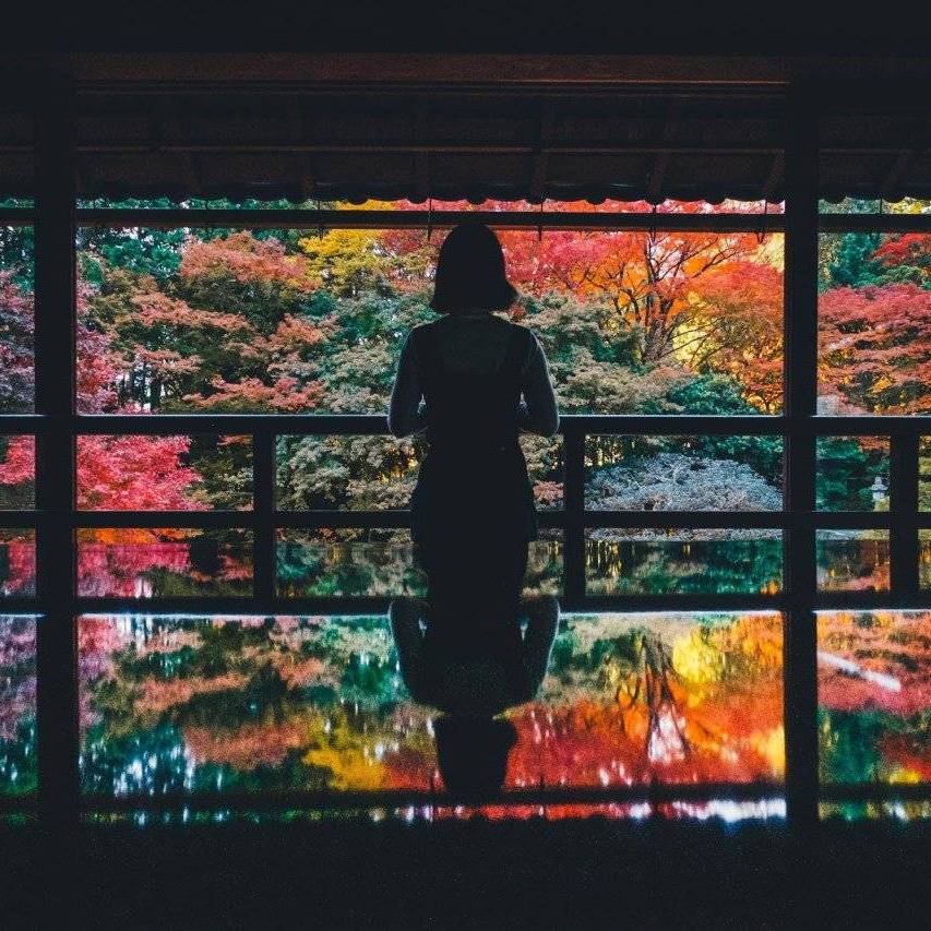 花樽与花封面