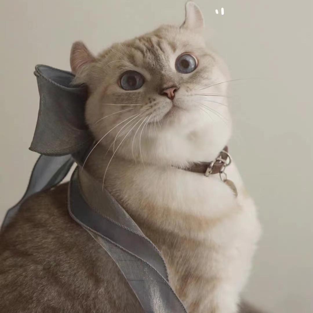 萧敬腾-离开地球表面(LEAH)（LEAH remix）