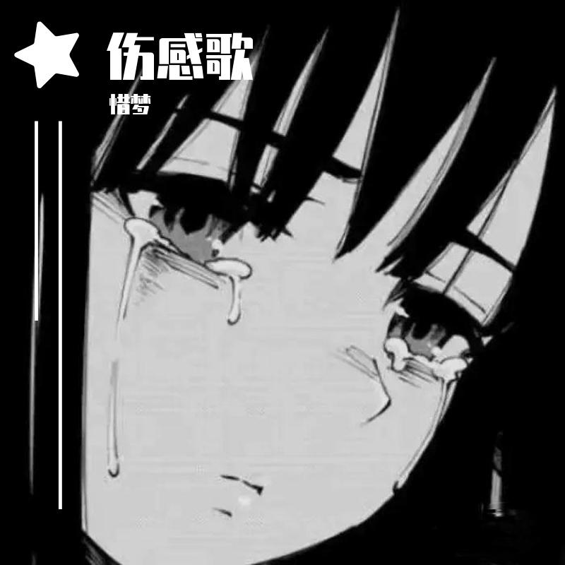 坏女孩(校园合唱版)铃声 - 惜梦封面