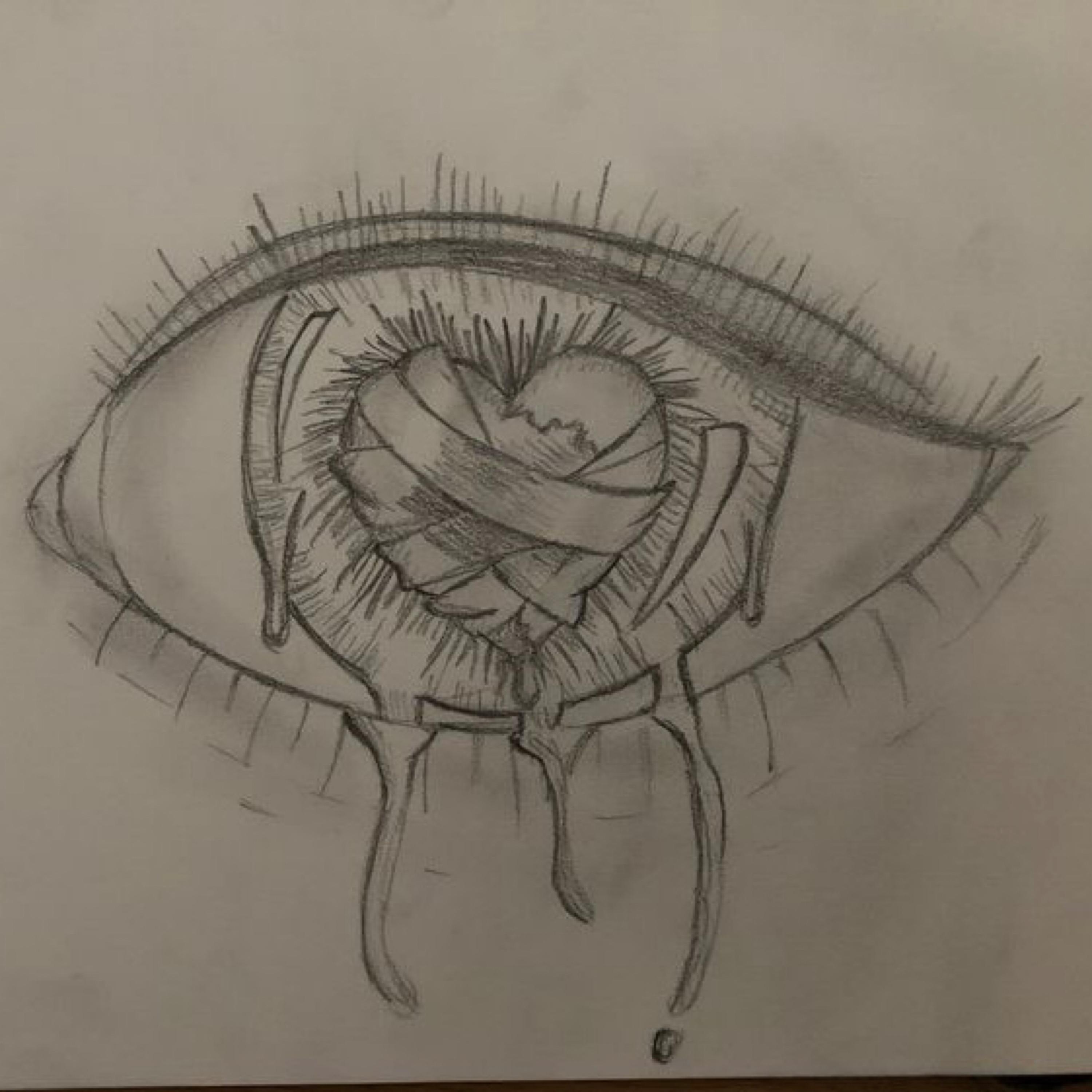 why'd you let me fall?