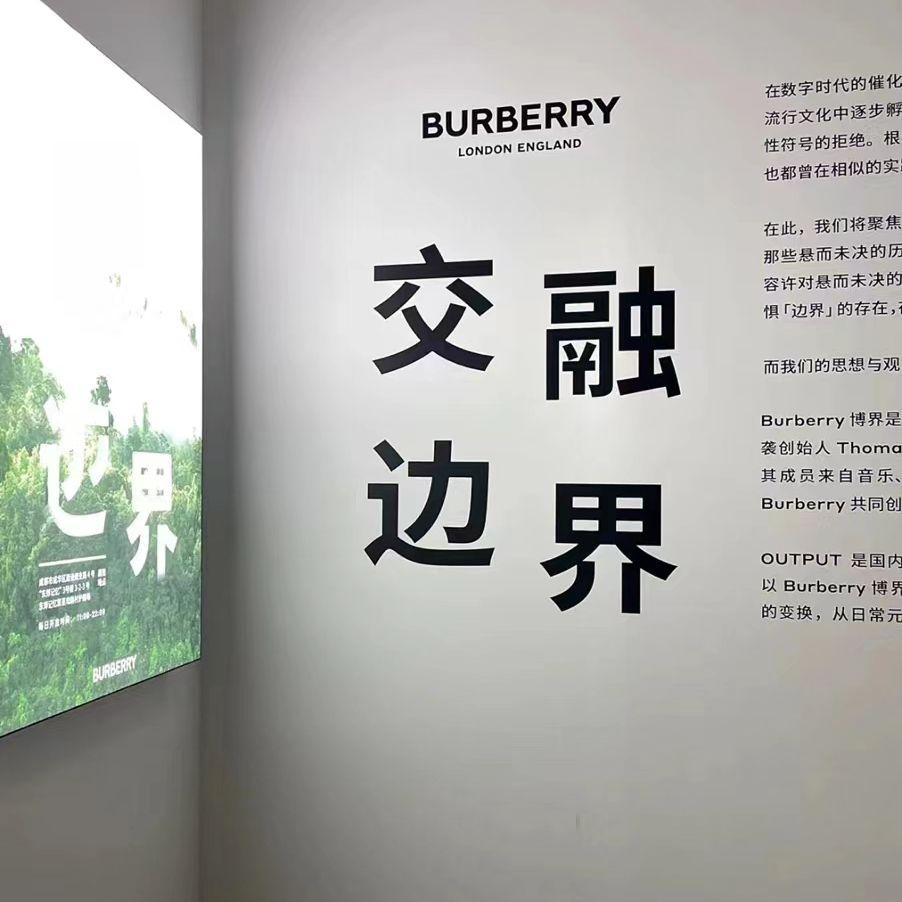 心口不一封面