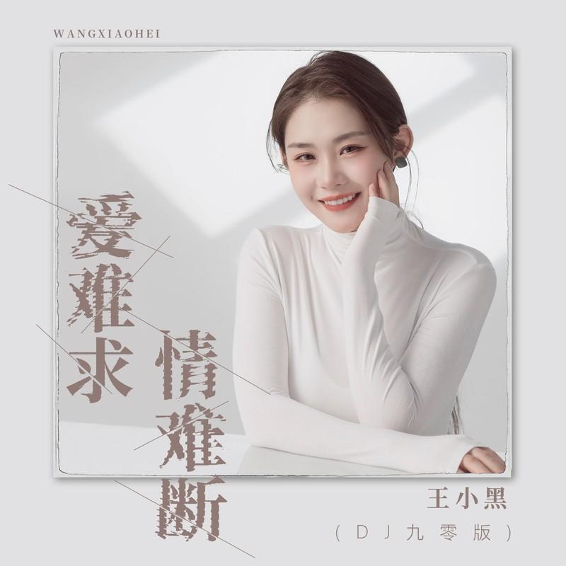 爱难求情难断(DJ版)封面