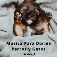 4 Patas, Música Para Dormir Perros y Gatos Sesión 3