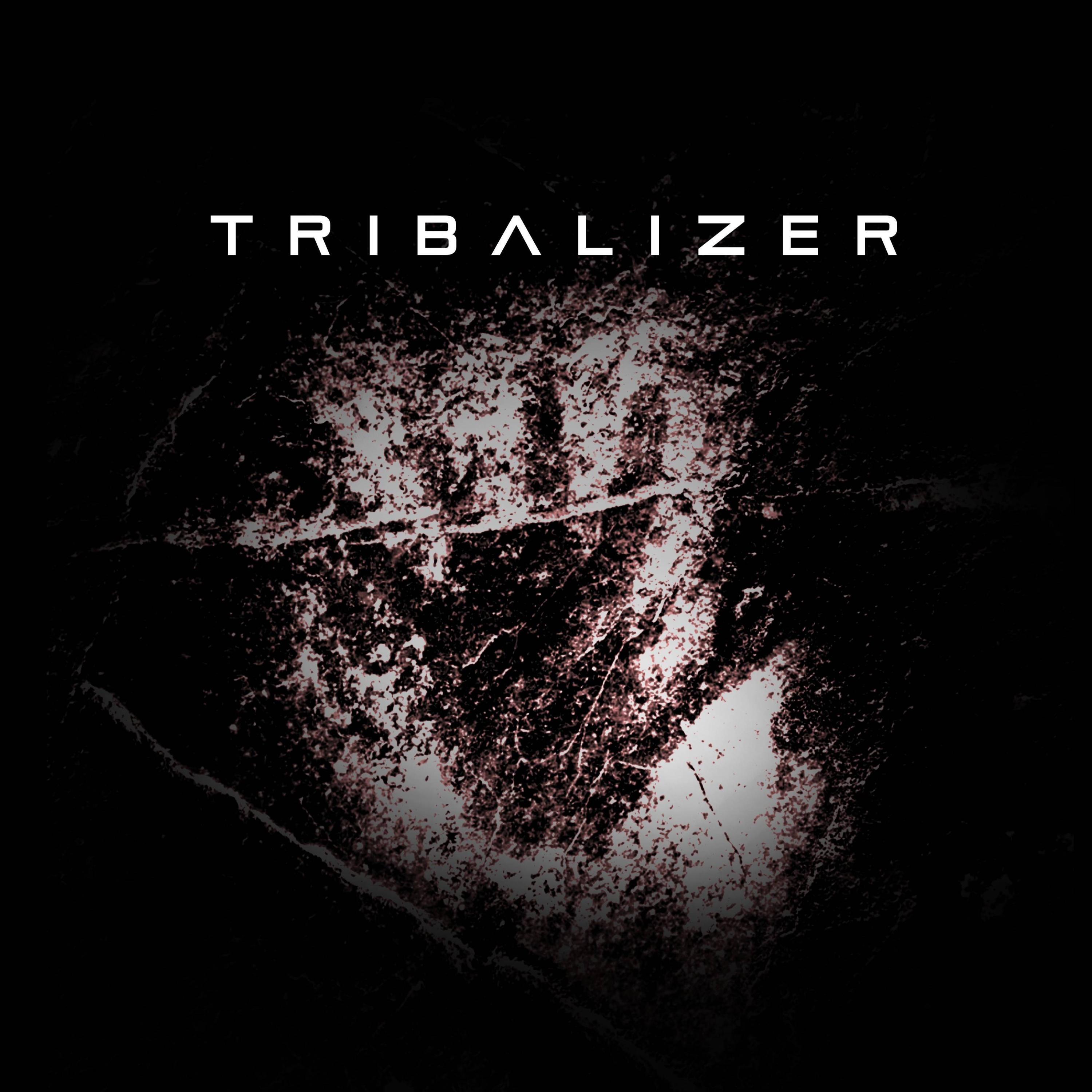 Tribalizer (feat. Activation)