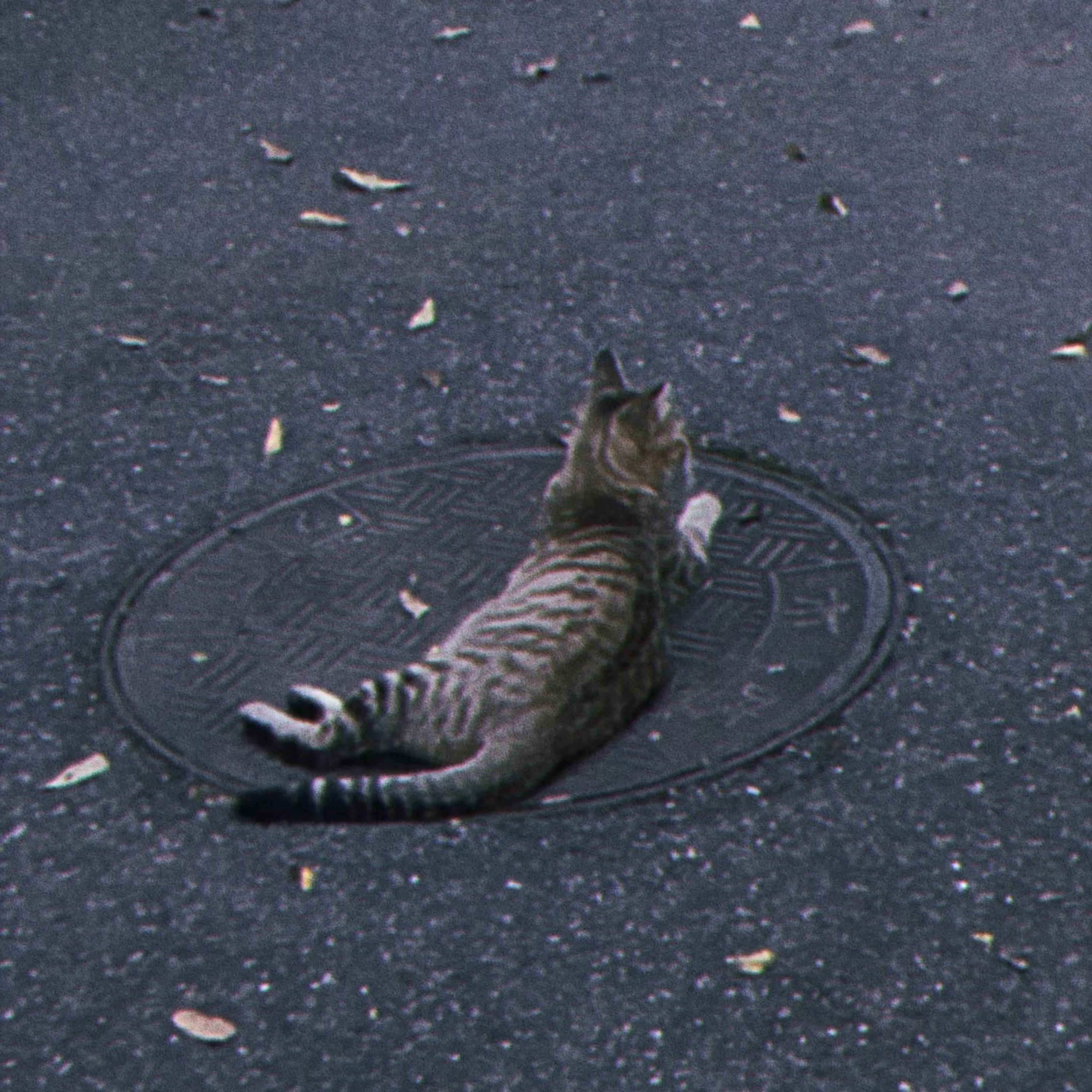 I Don't Need Ya (Acoustic)