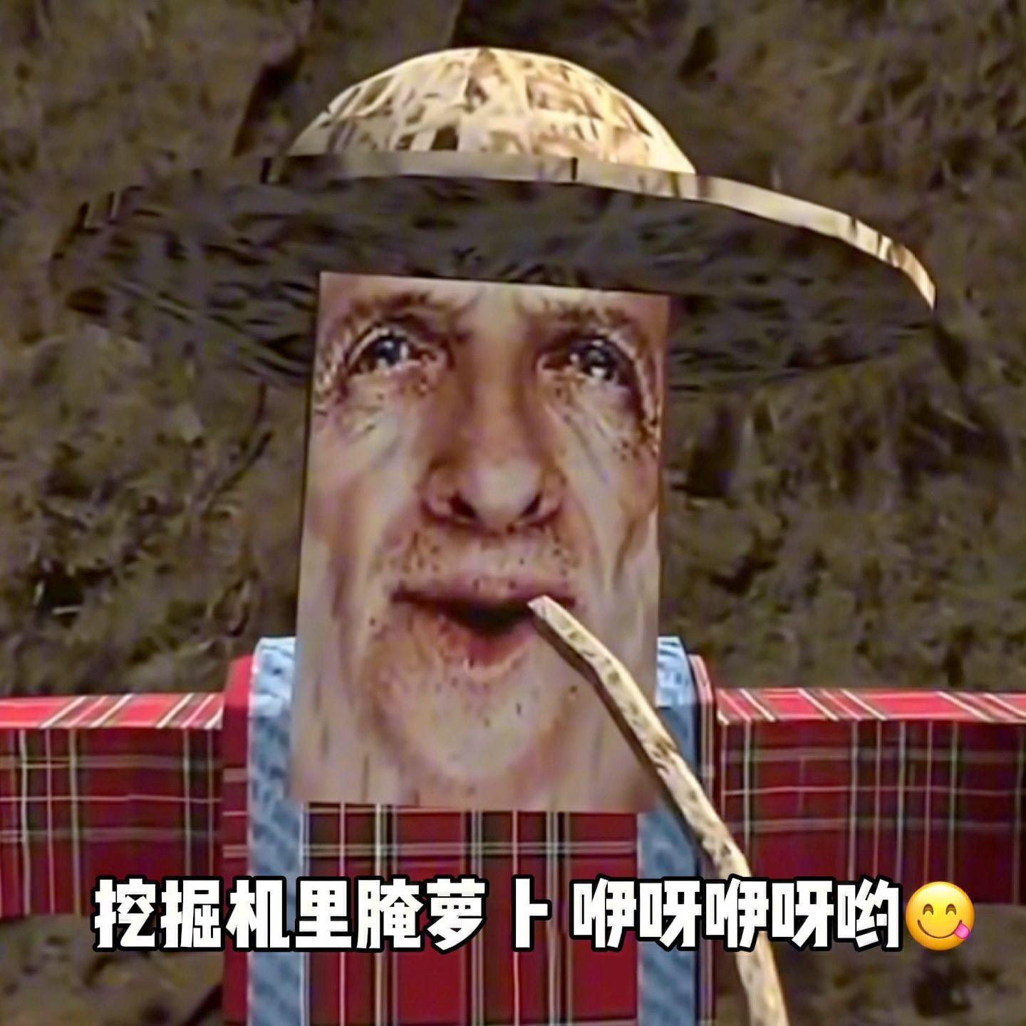 挖掘机里腌萝卜咿呀咿呀哟