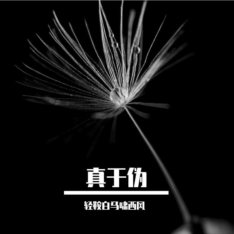 真与伪封面