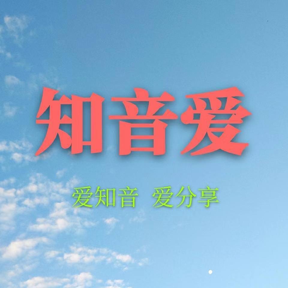 相爱枷锁与自我解脱封面